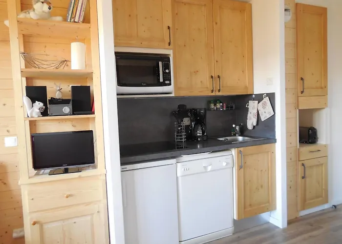 Lägenhet 3p, 6 Pers, Proche Pistes, Animaux Acceptes - - Fr-1-353-42 *